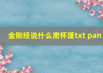 金刚经说什么南怀瑾txt pan